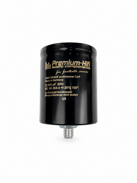 1 High Grade Audio Cap Ladekondensator 22.000 µF / 80 V – hochwertige Einzelausführung