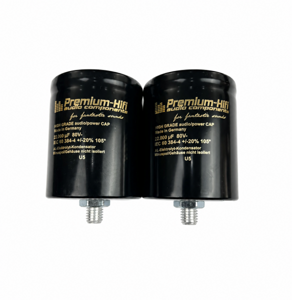 Premium High Grade Audio Cap Ladekondensatoren 22.000µF / 80V – hochwertiges Set mit 2 Stück